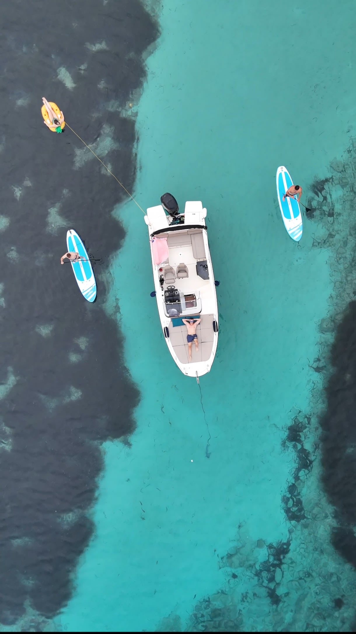 Cover of activity #4970