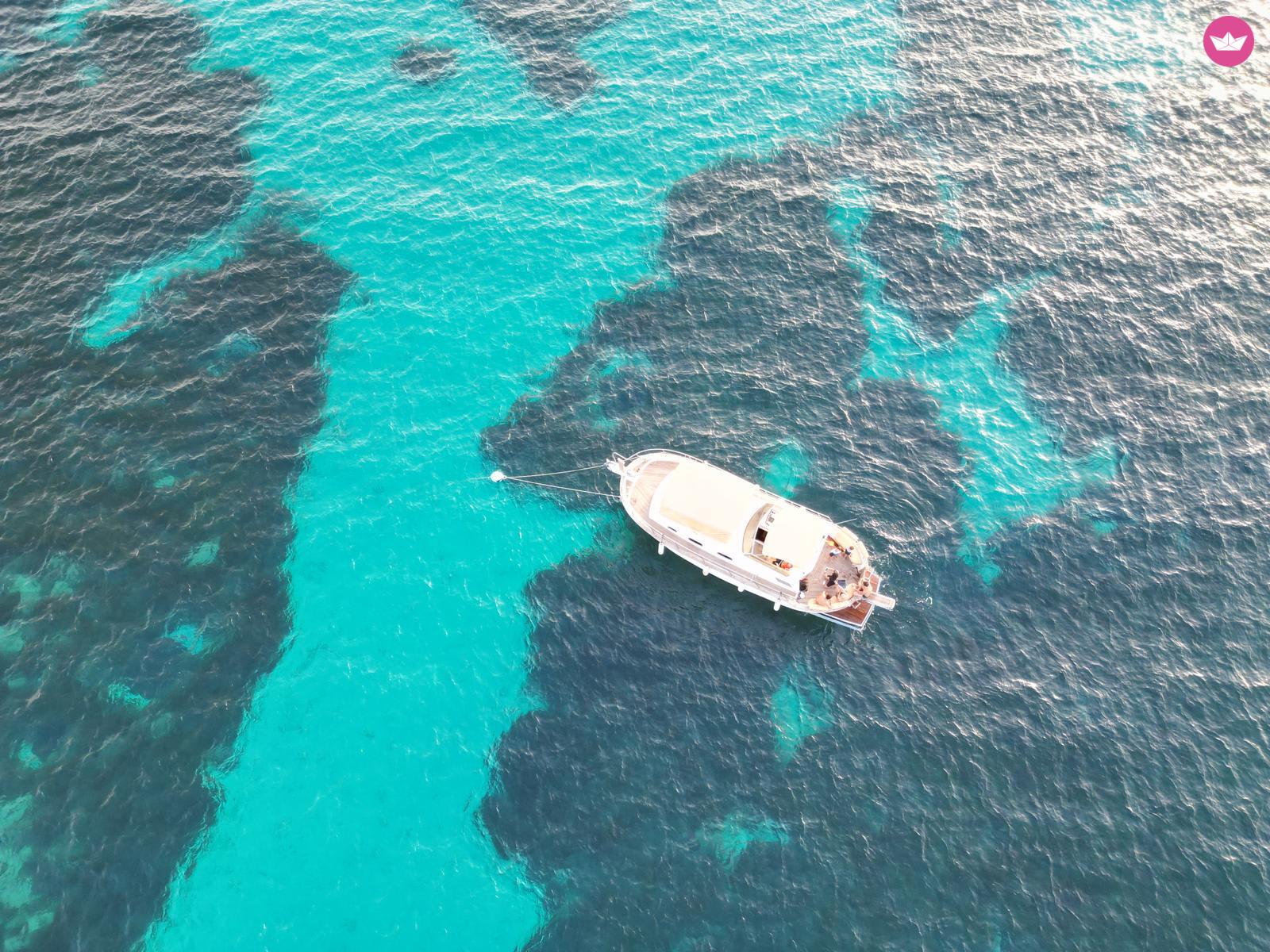 Cover of activity #6504