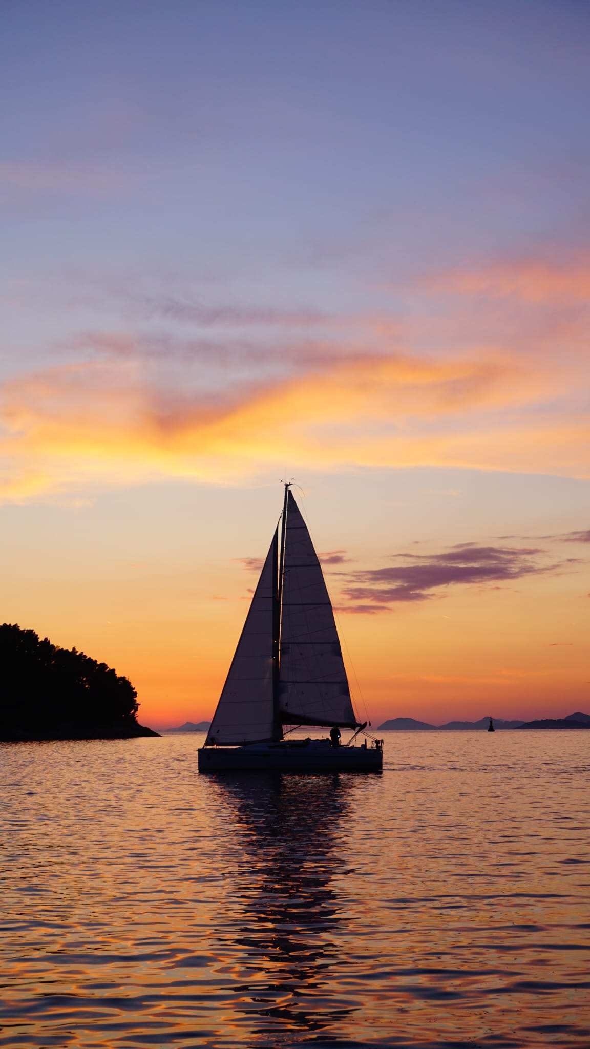 Cover of activity #11811