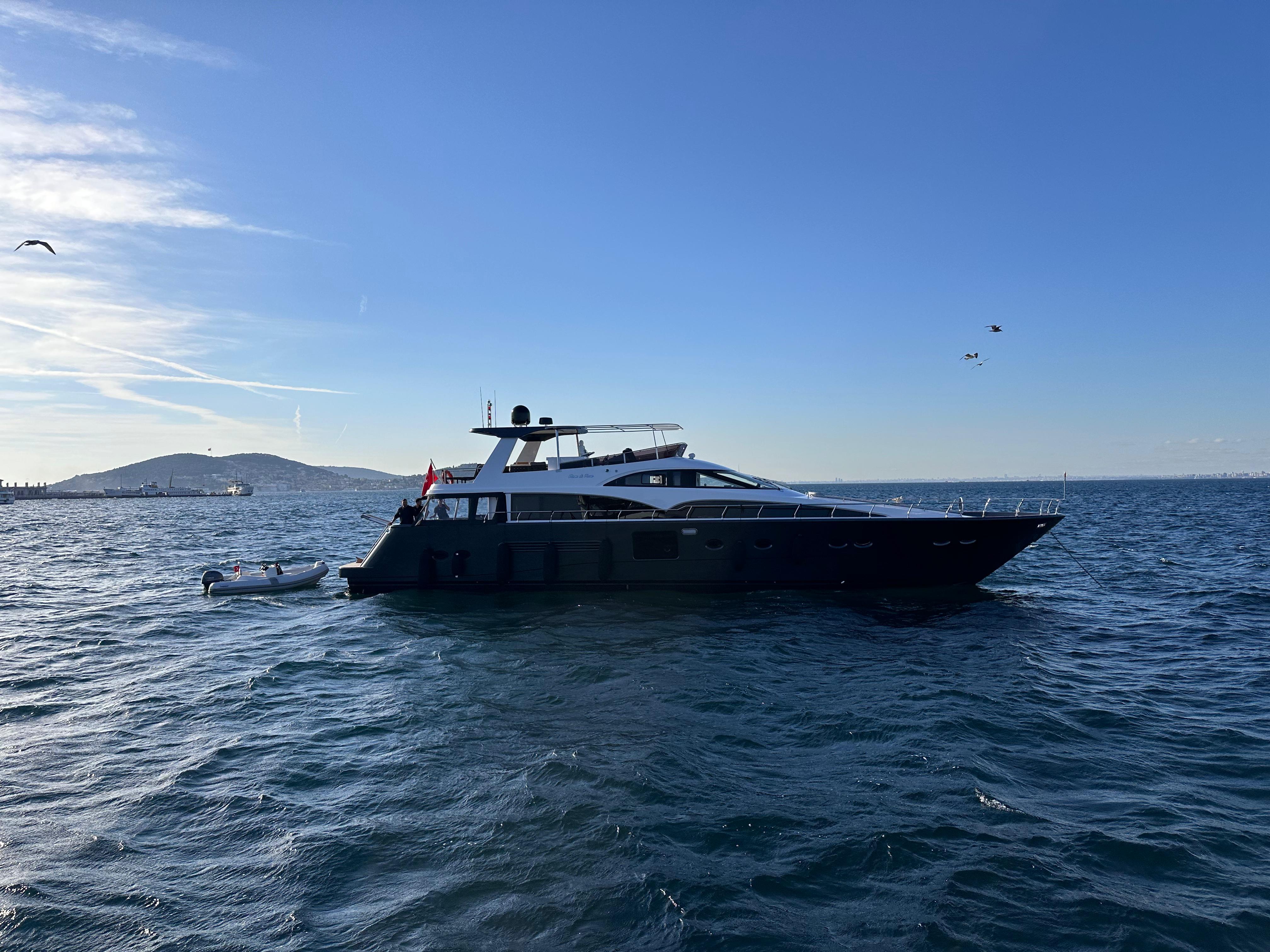 Cover of activity #9511