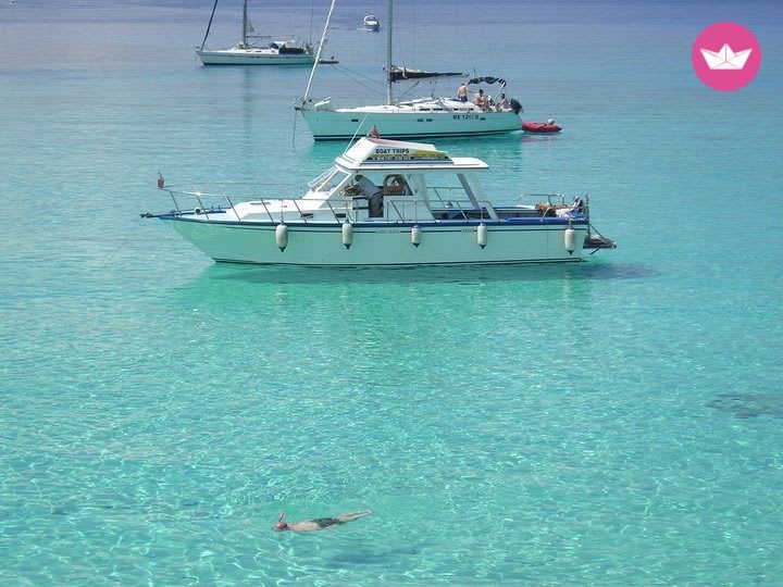 Cover of activity #6179