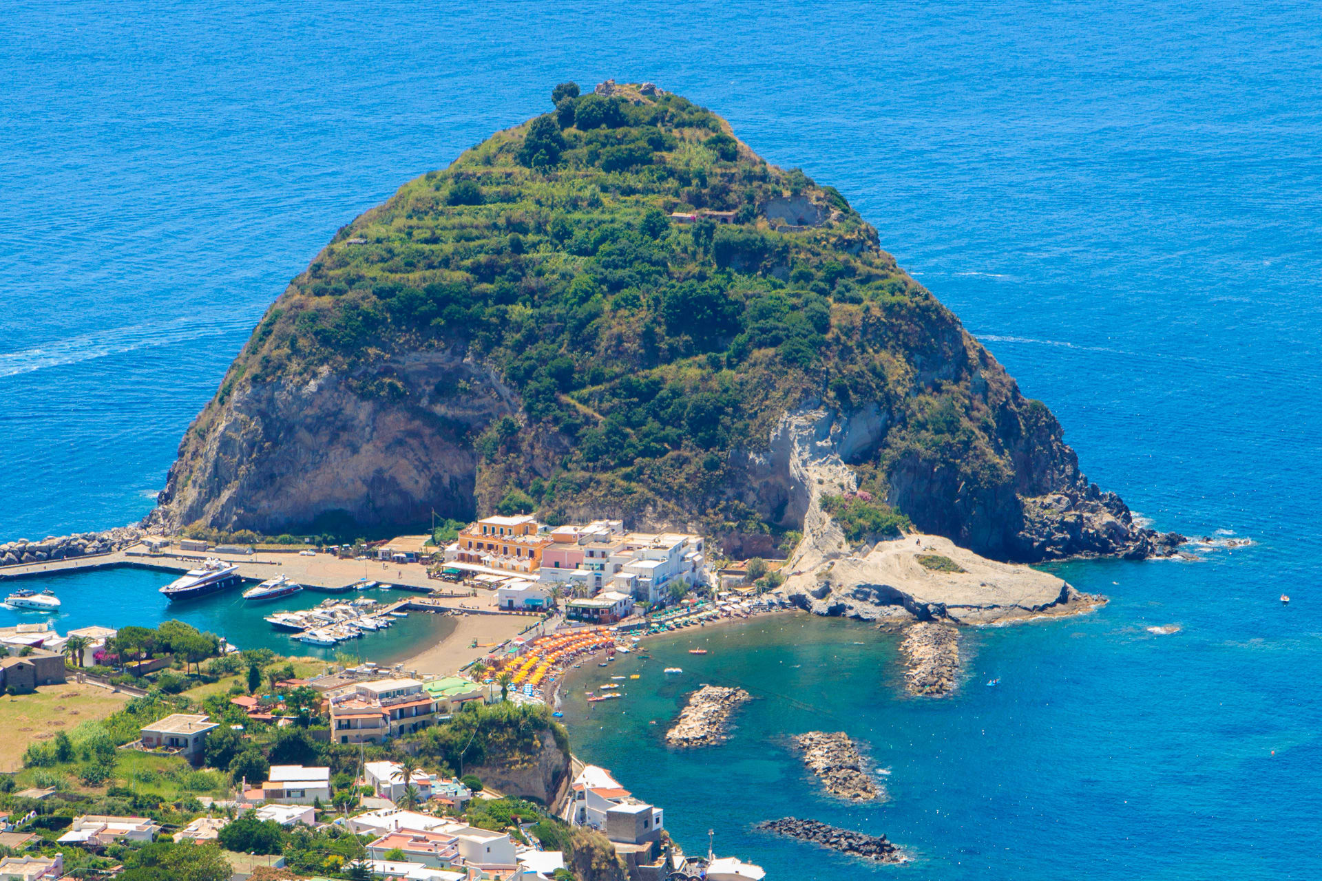 Cover of activity #7493