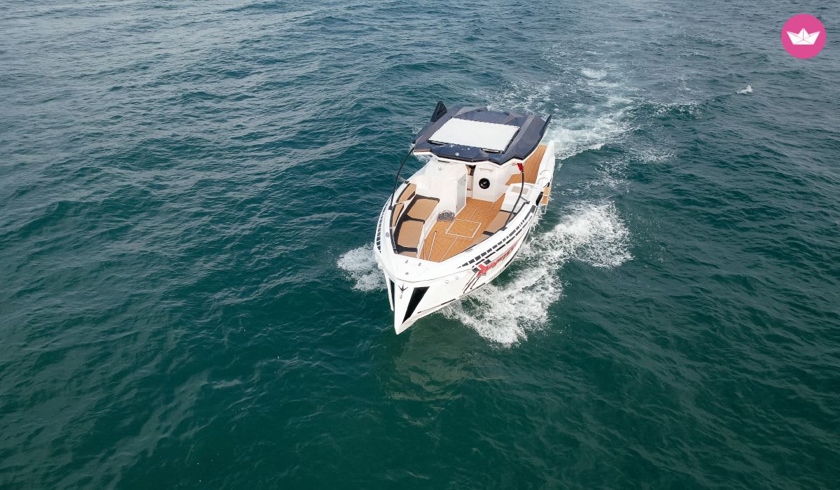 Cover of activity #6202