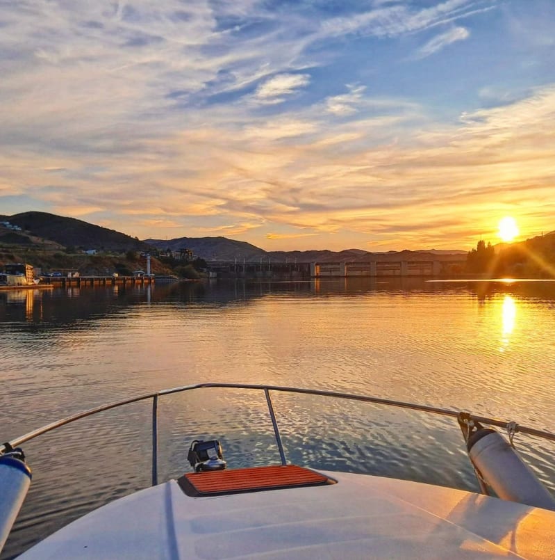 Cover of activity #7250