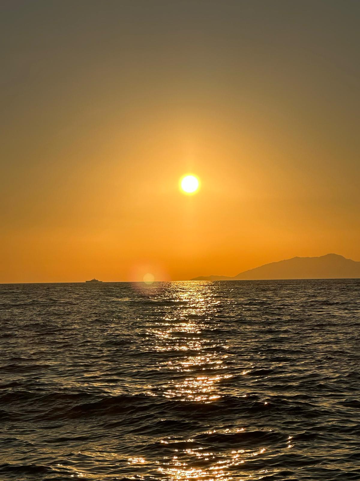 Cover of activity #7599