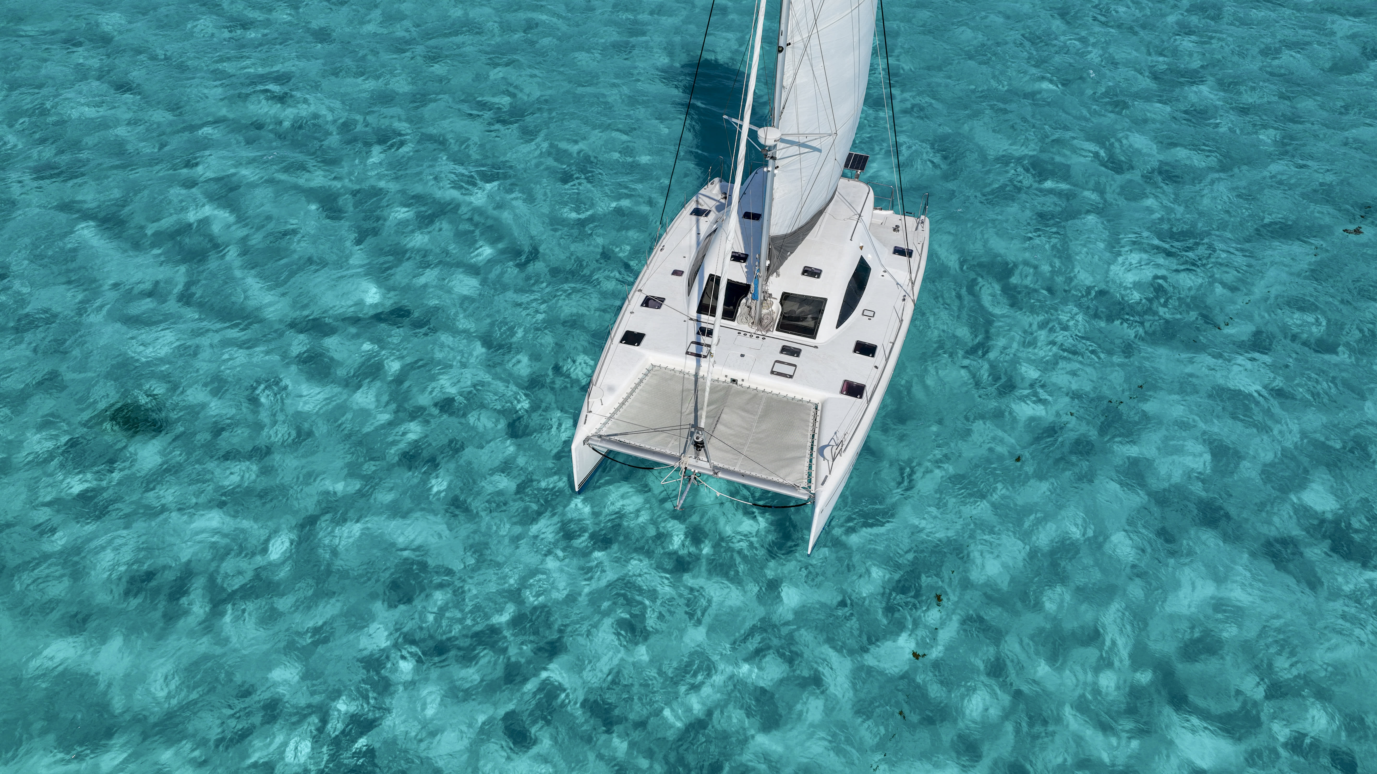 Cover of activity #12929