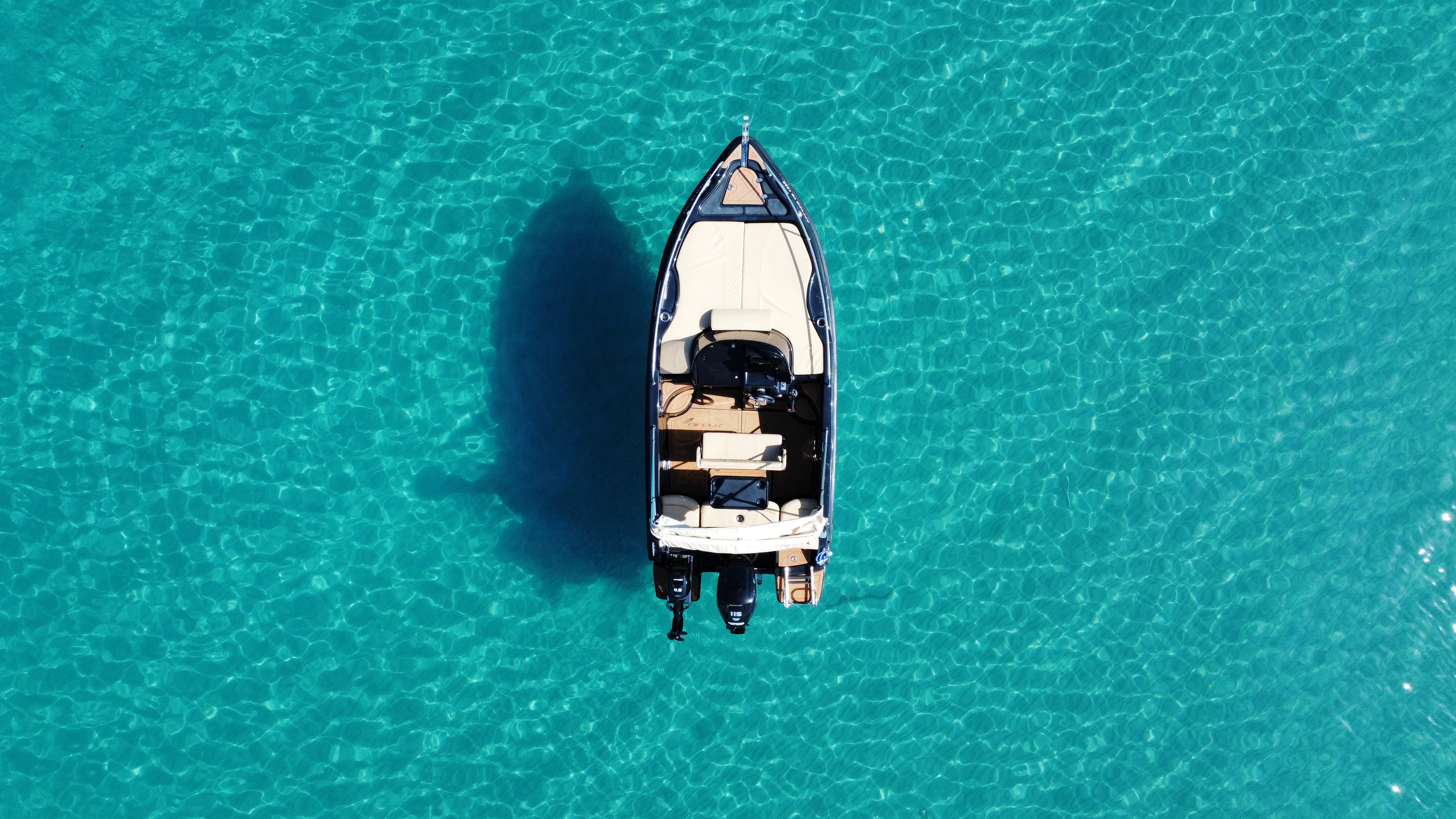 Cover of activity #9399