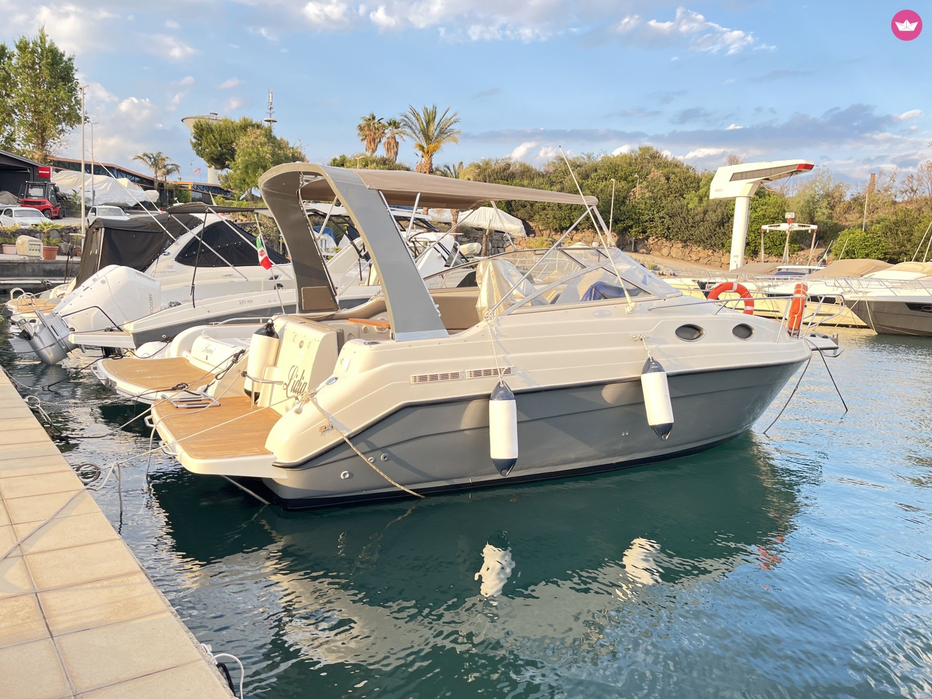 Cover of activity #9137