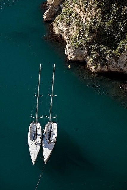 Cover of activity #15384