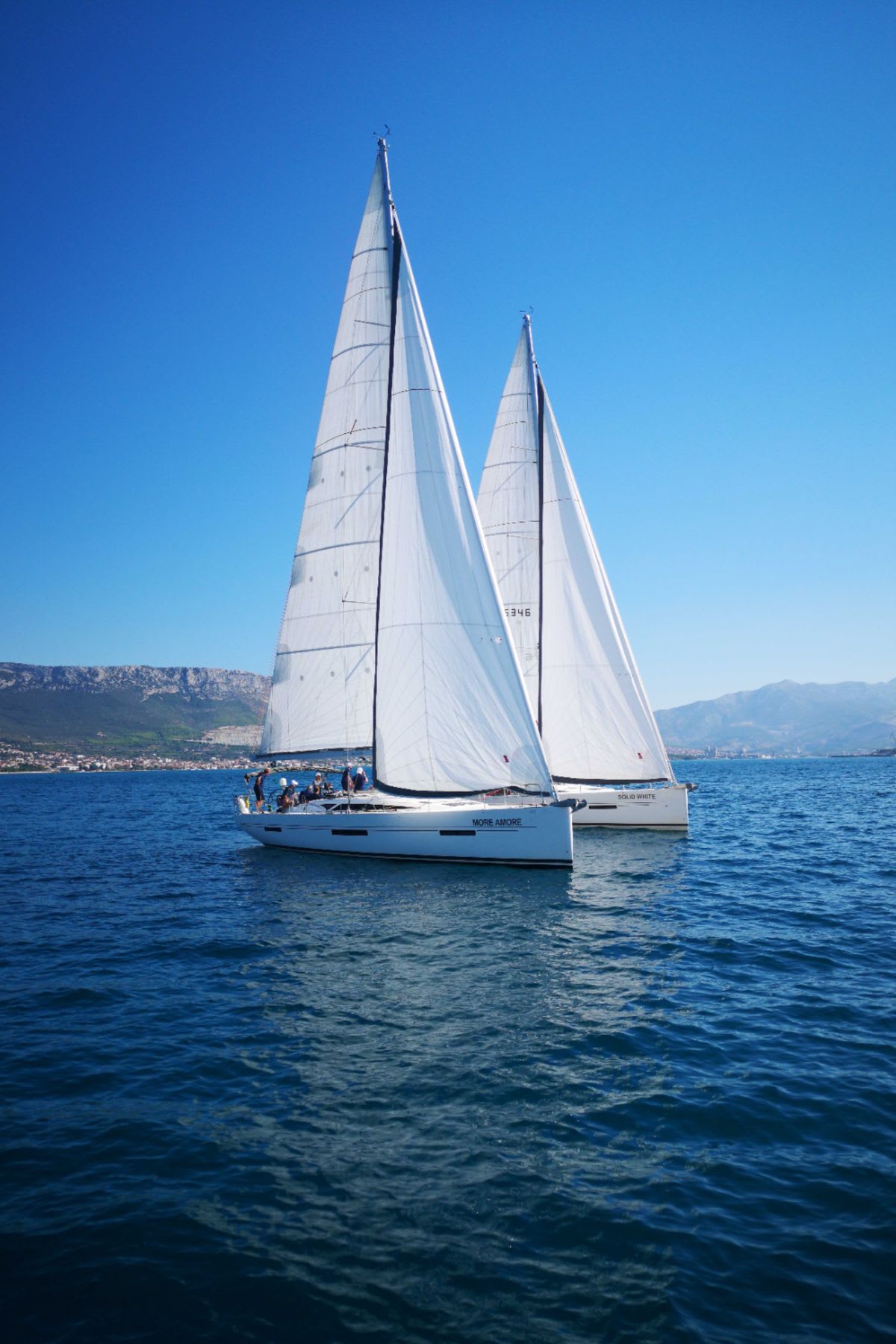 Cover of activity #11660