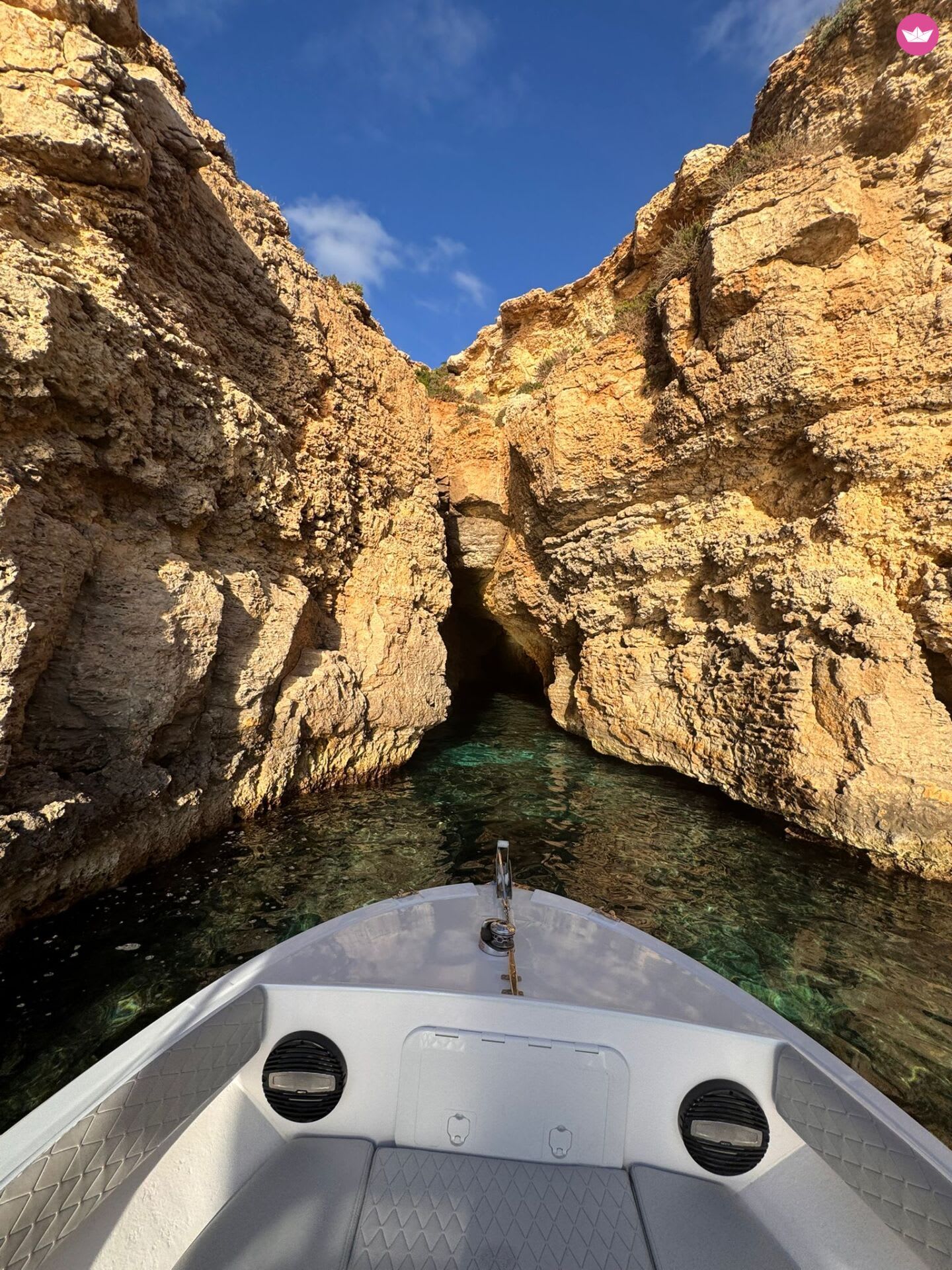 Cover of activity #8442