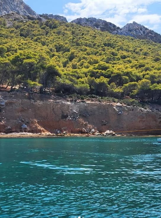 Cover of activity #11730