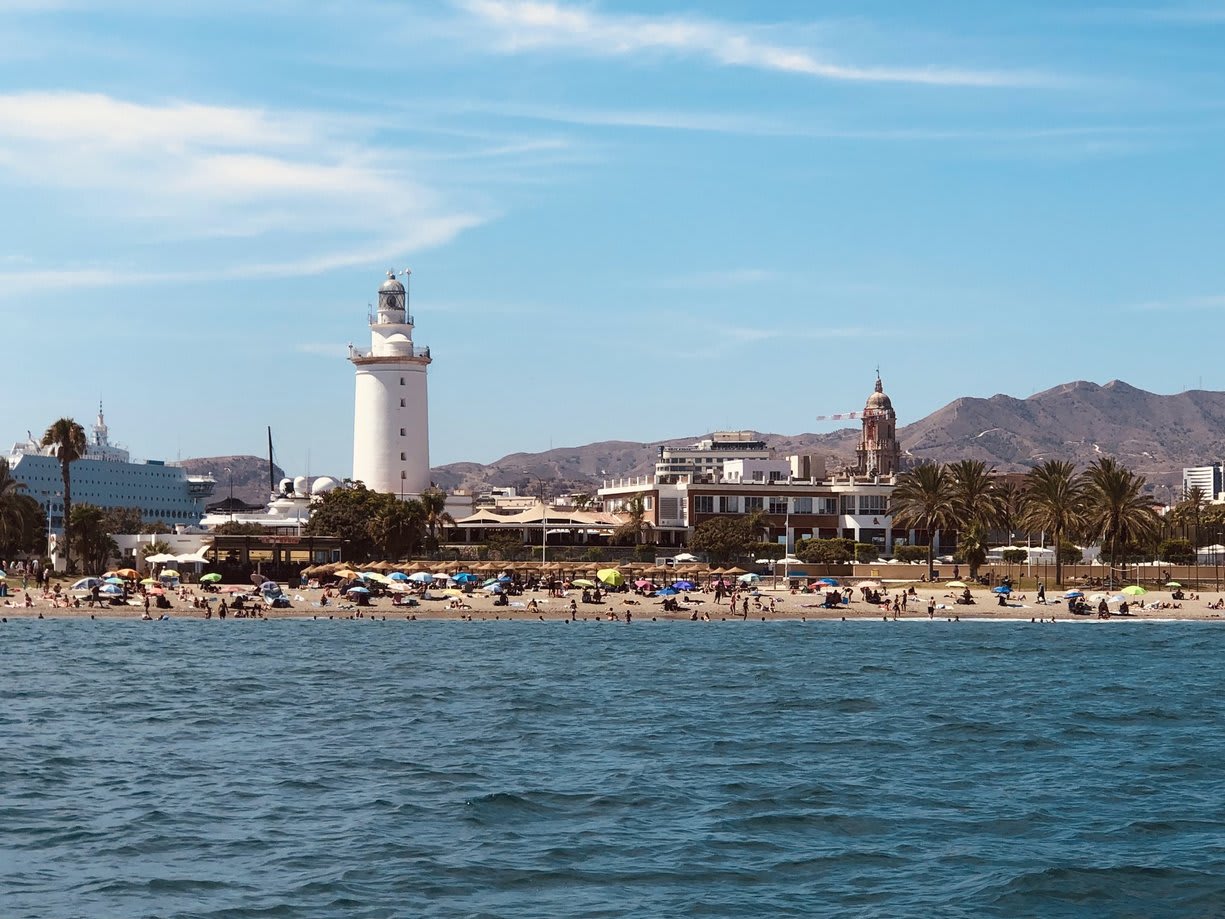 Cover of activity #7619