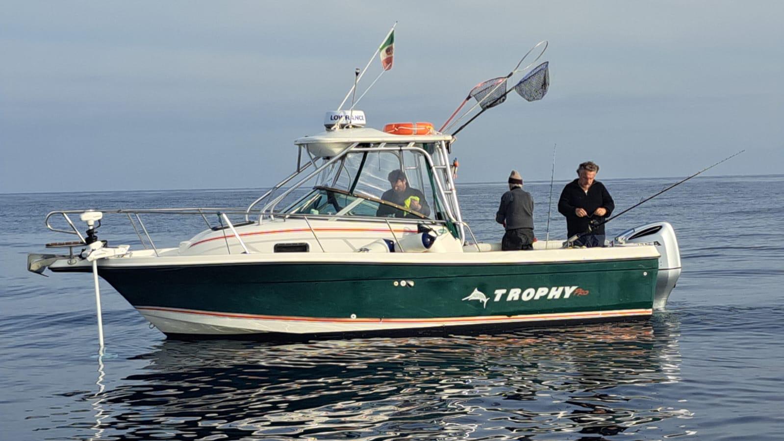 Cover of activity #10009