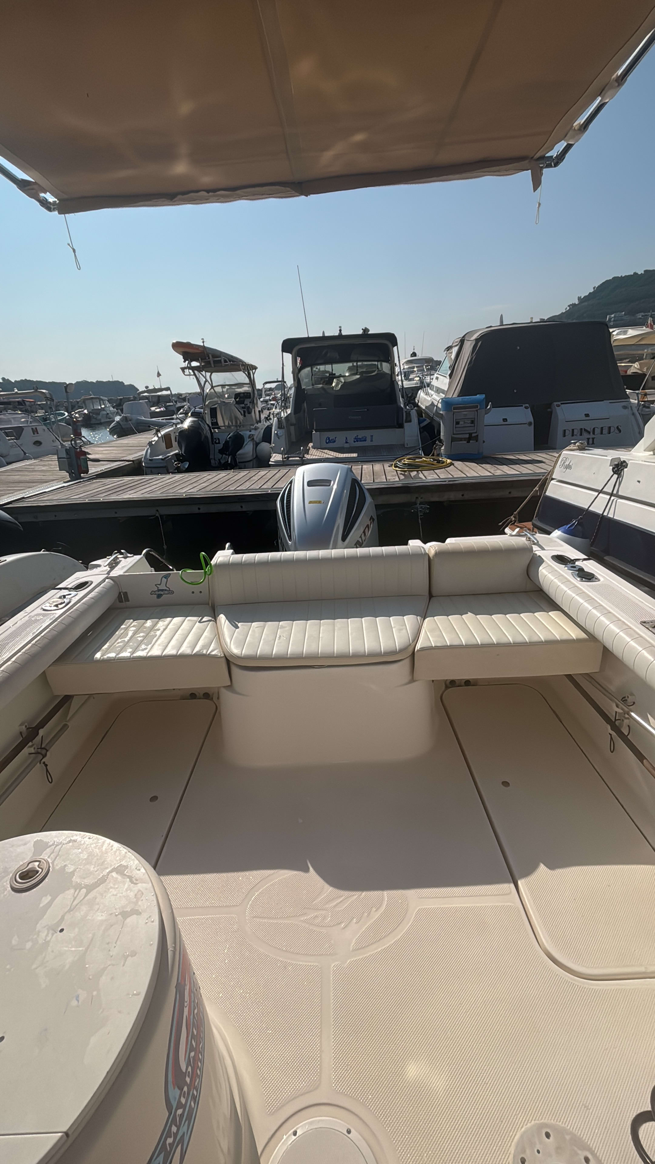 Cover of activity #10010