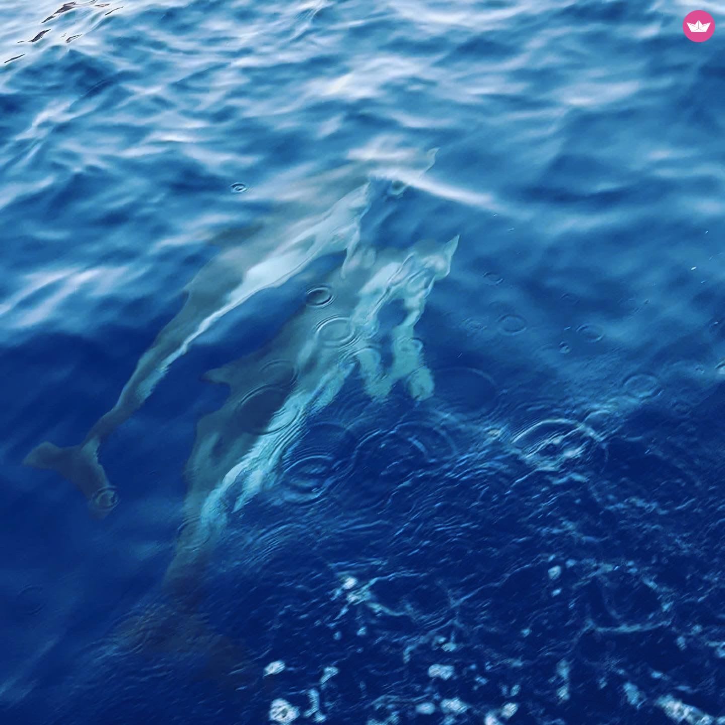 La Perla del Golfo: Excursión de un día desde Chiavari