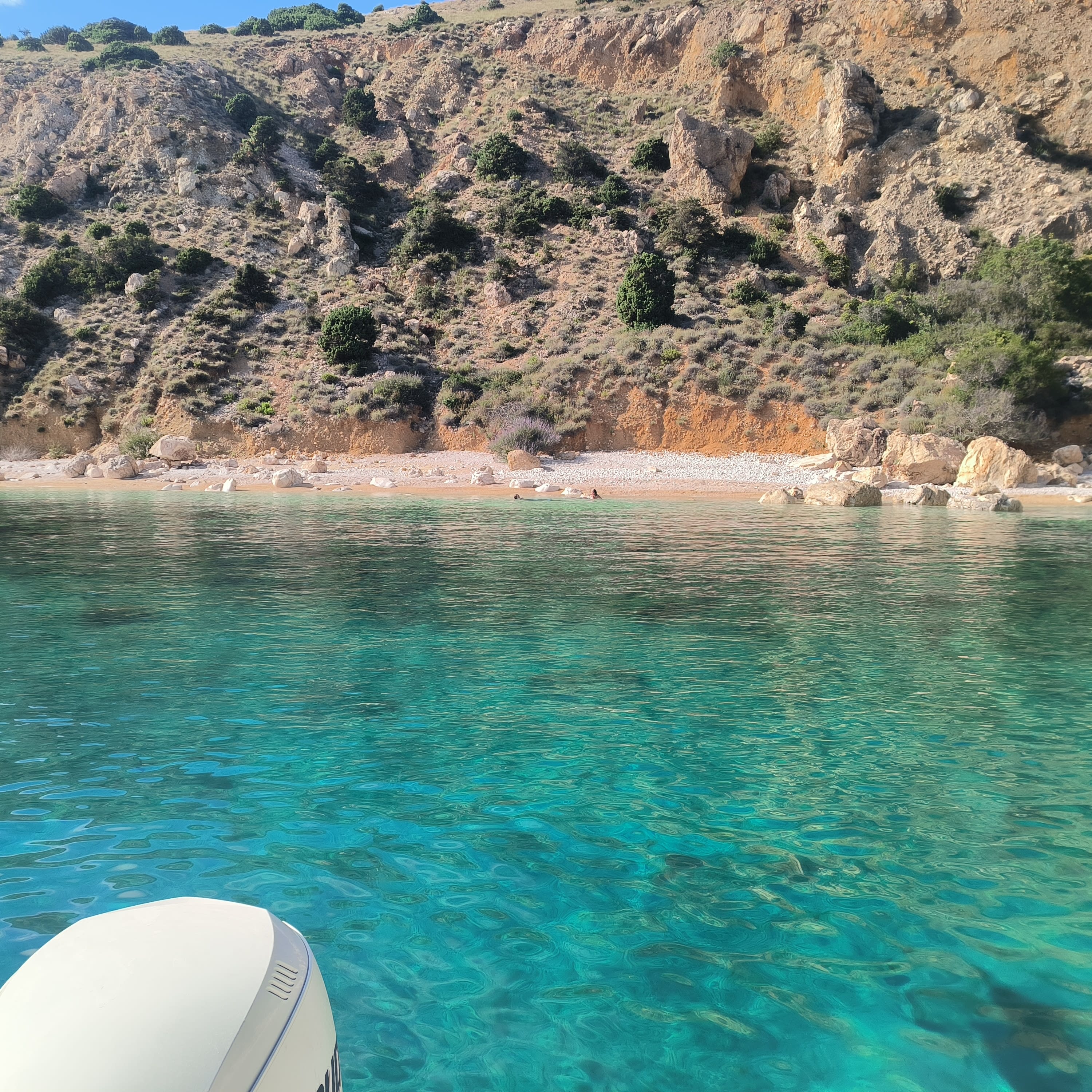 Cover of activity #7644