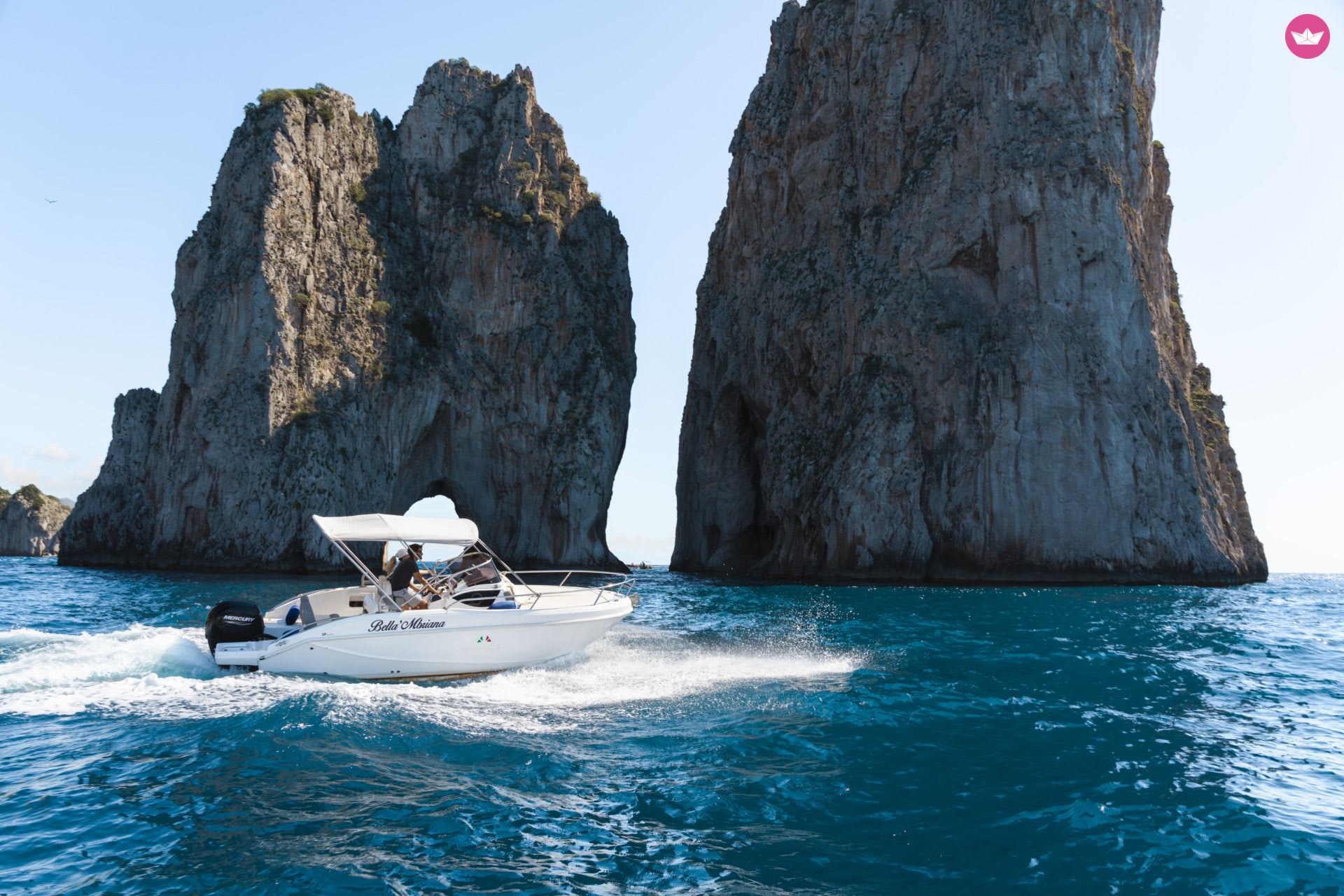 Cover of activity #11838