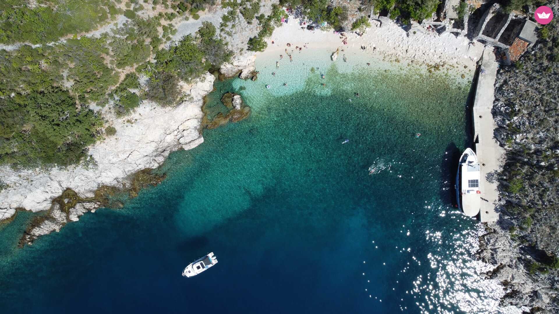 Cover of activity #7665