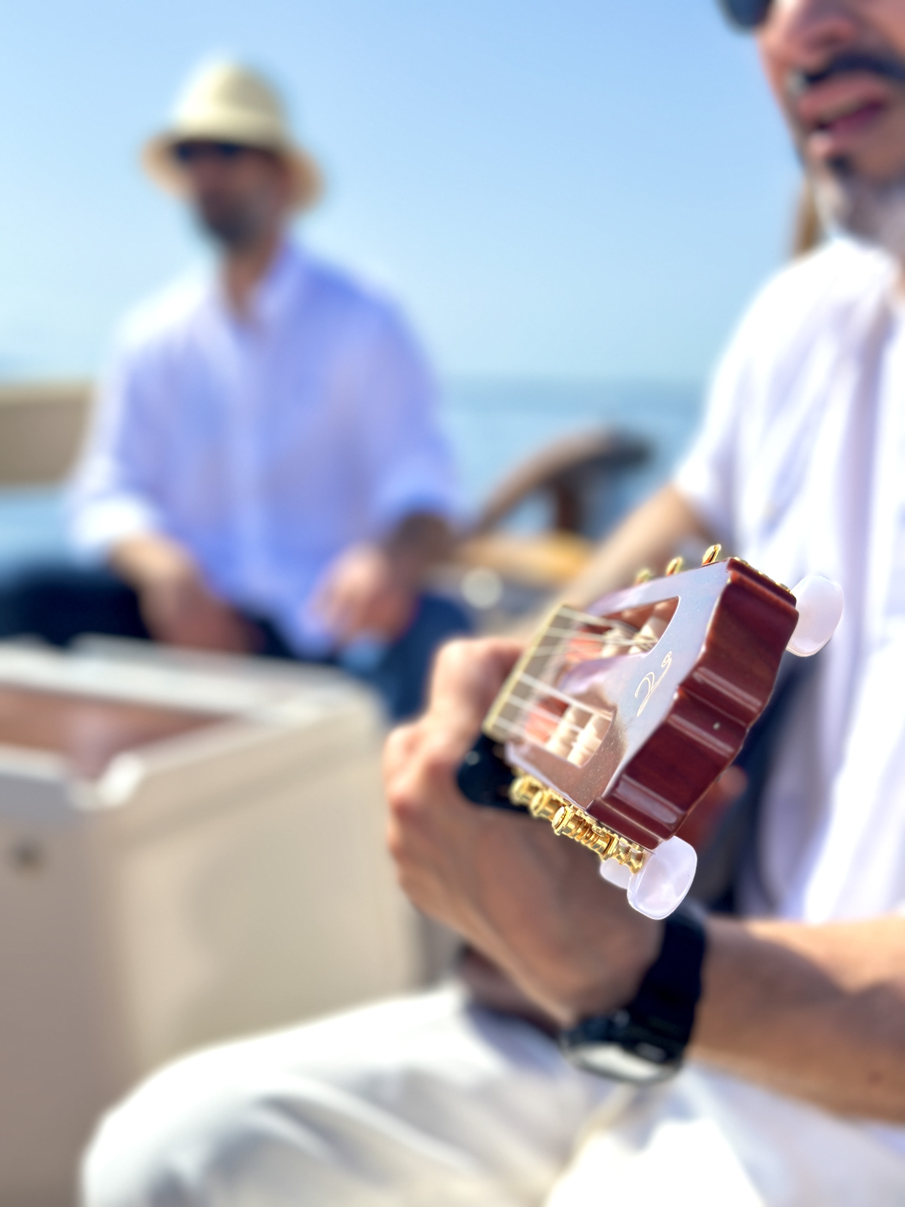 Cover of activity #7814