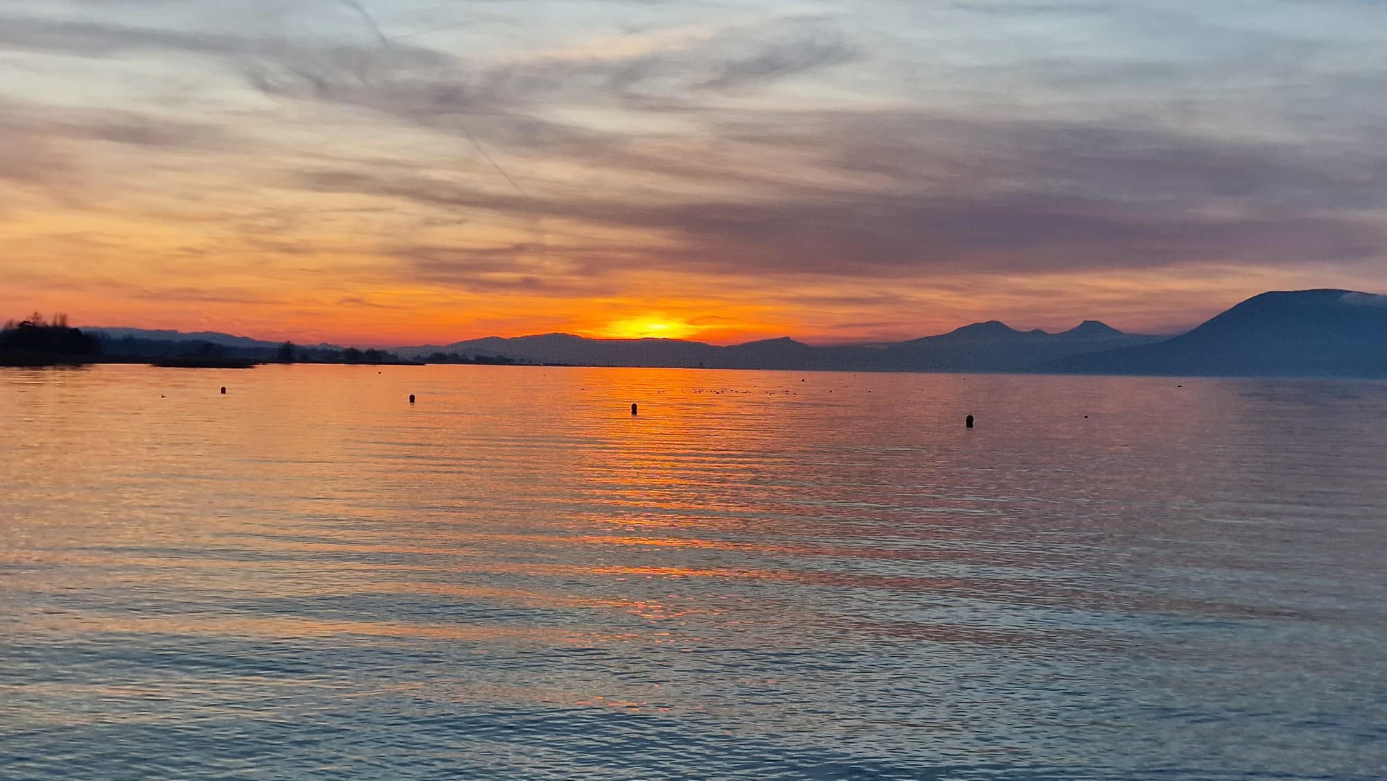 Cover of activity #9038