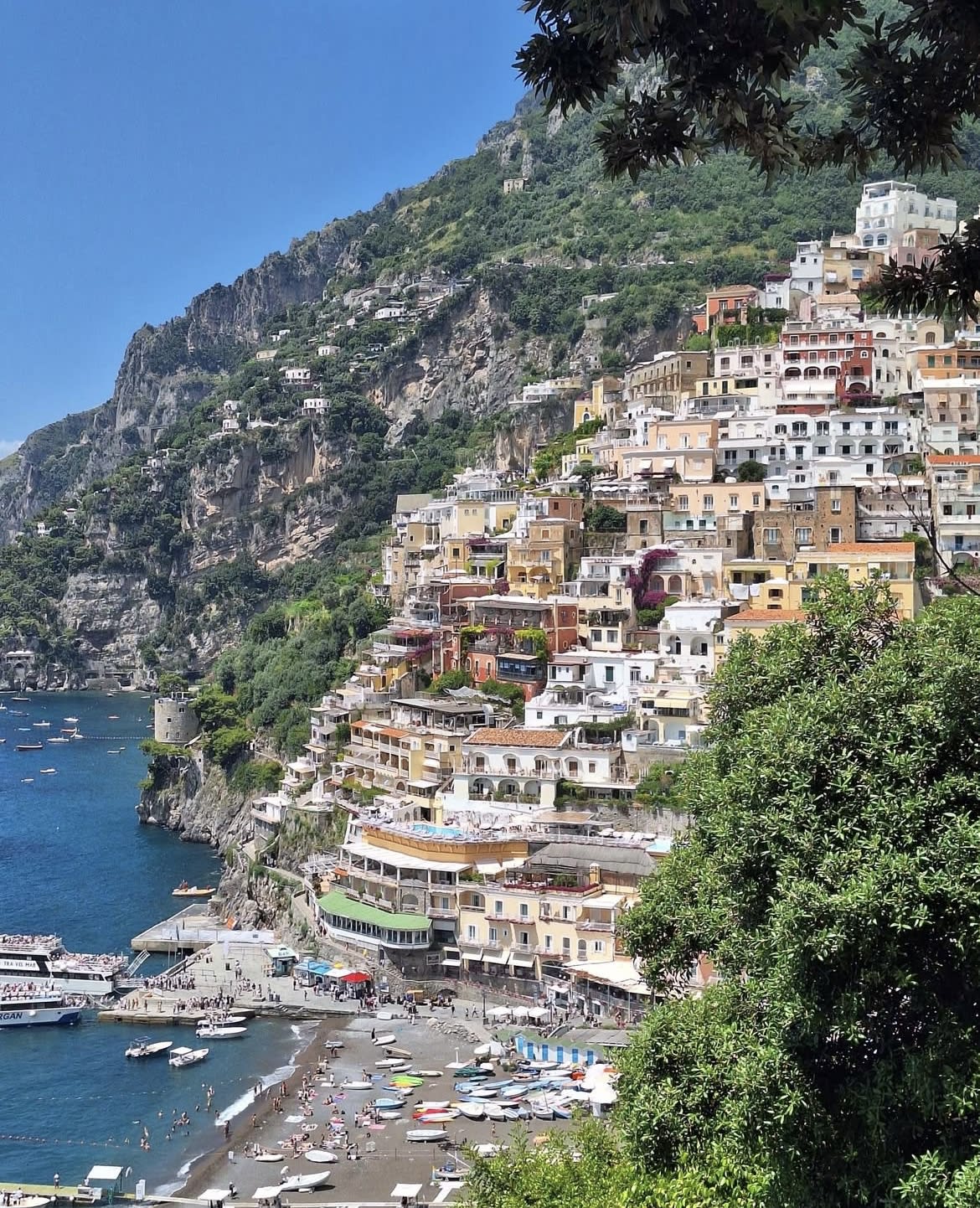 Cover of activity #11316