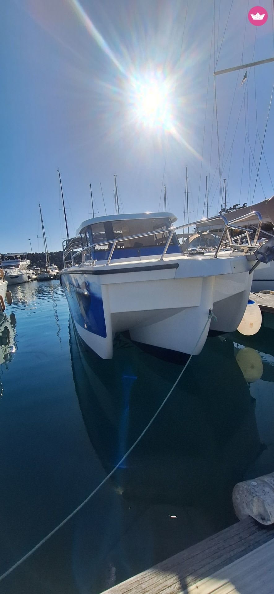 Cover of activity #12242