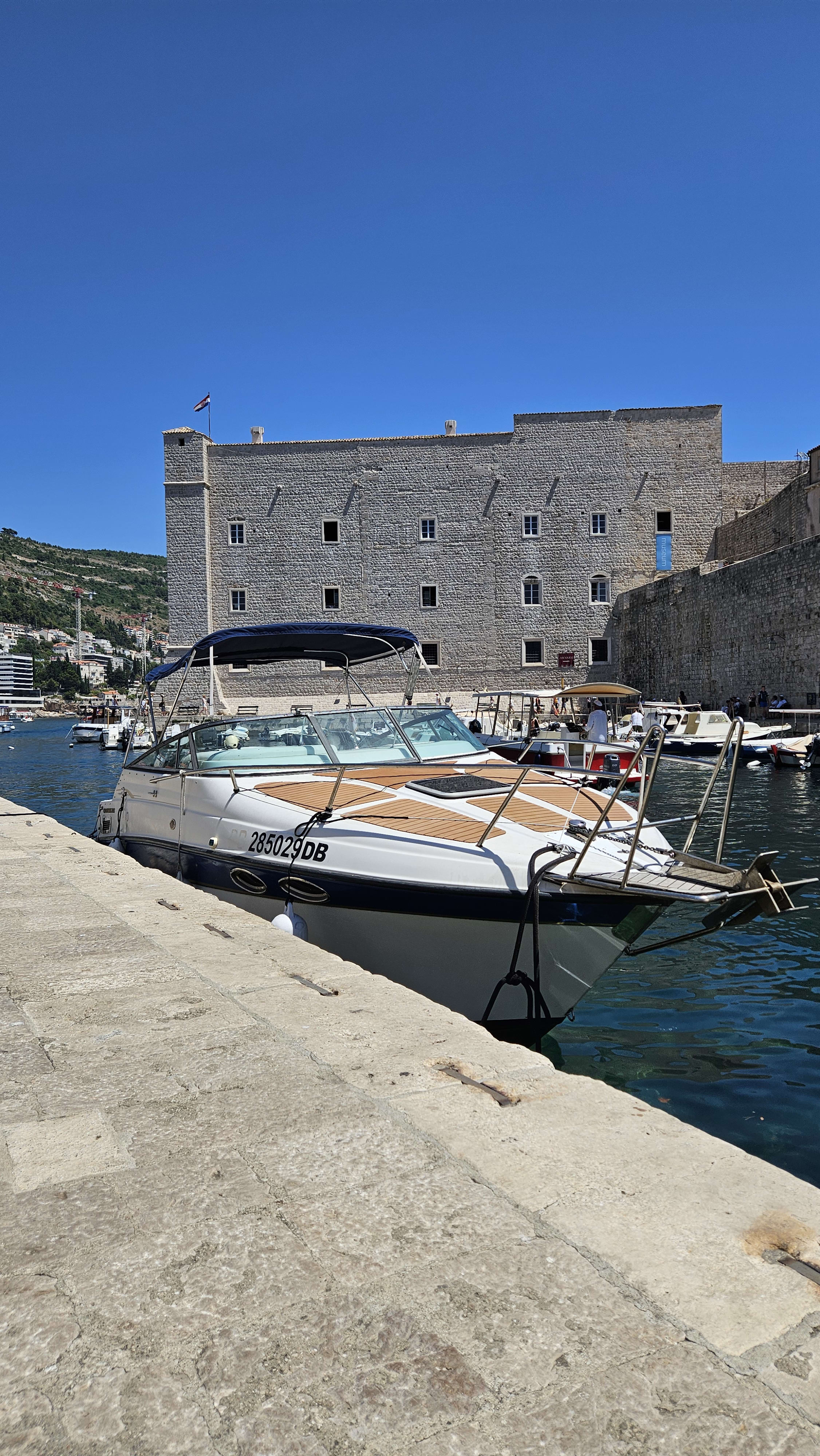 Cover of activity #8617