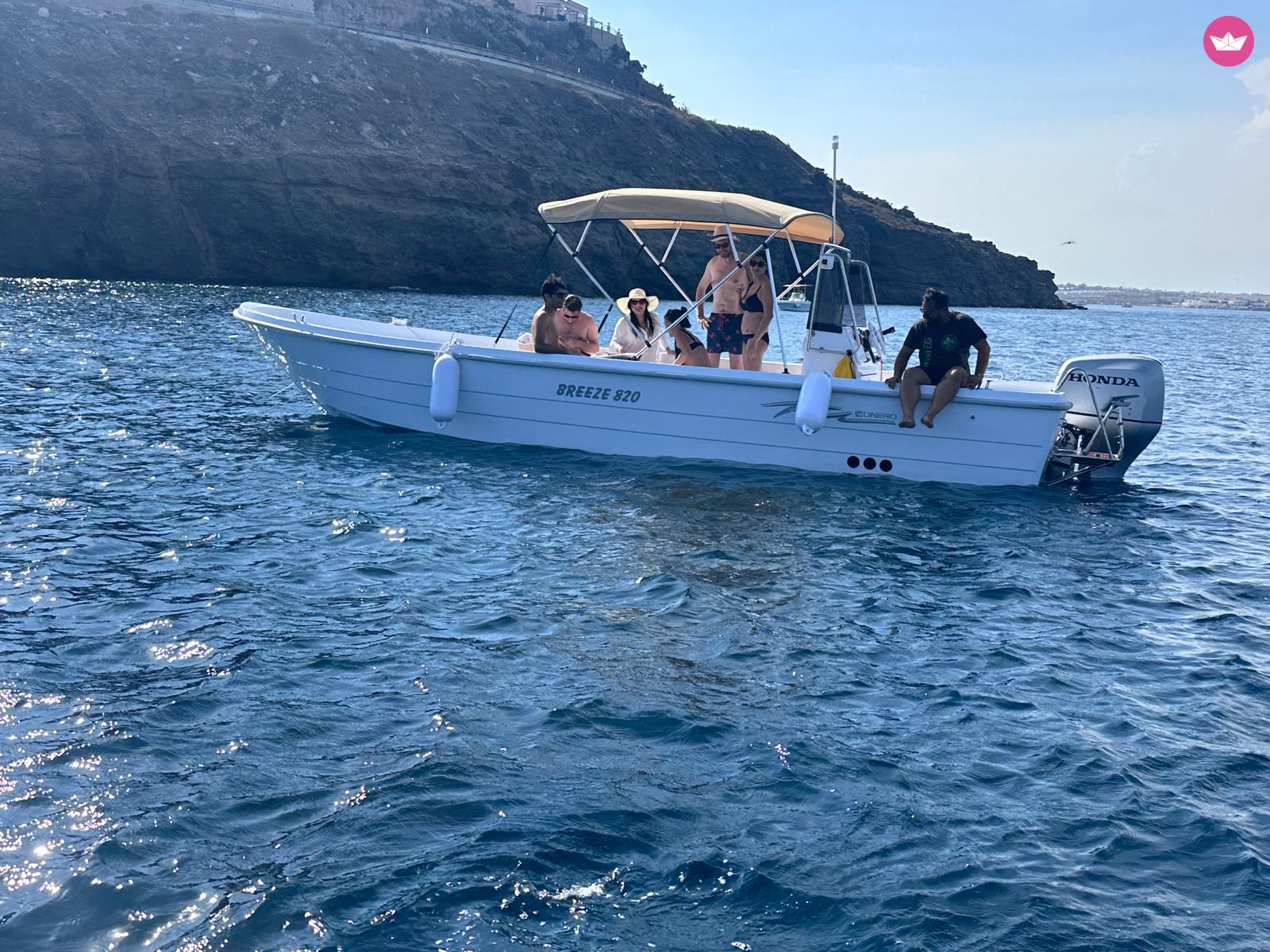 Cover of activity #13712