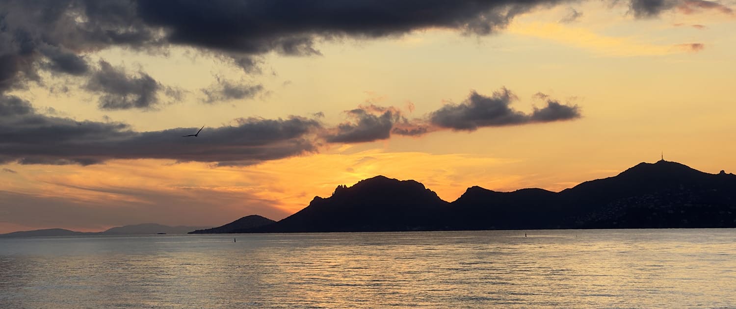 Cover of activity #12874