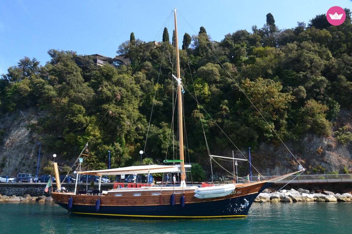 Cover of activity #12569