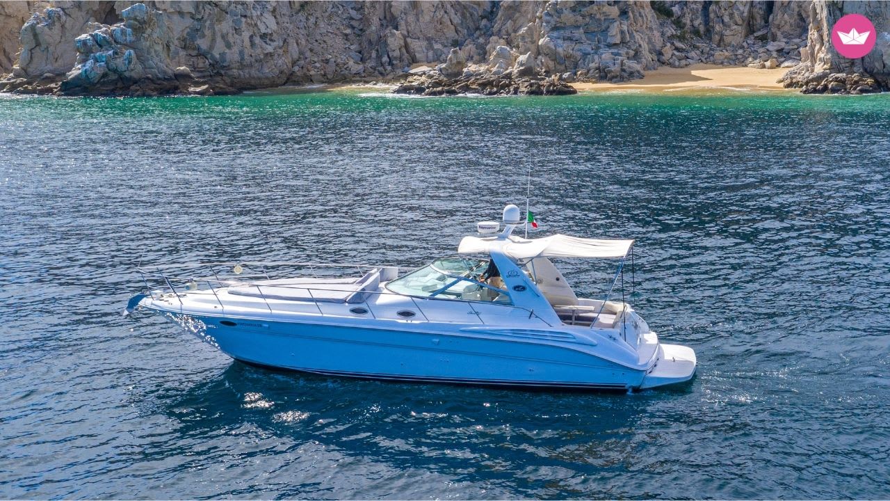 Baie de La Paz – Croisière privée de 3 heures et plongée avec tuba avec les otaries