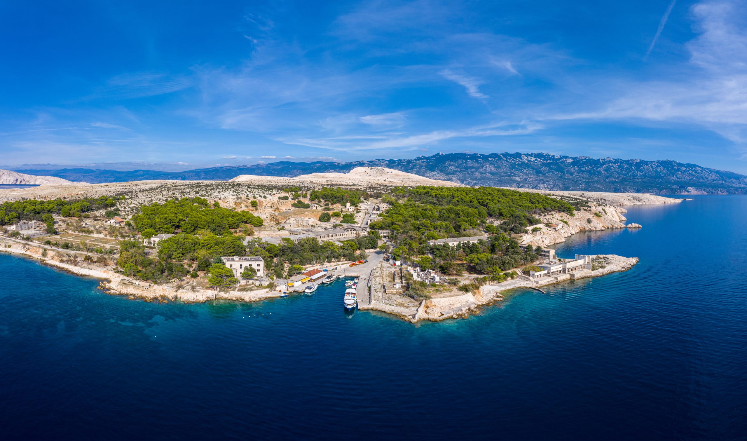 Cover of activity #12734