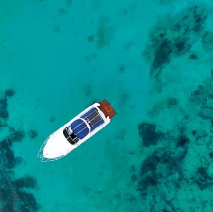 Cover of activity #13558