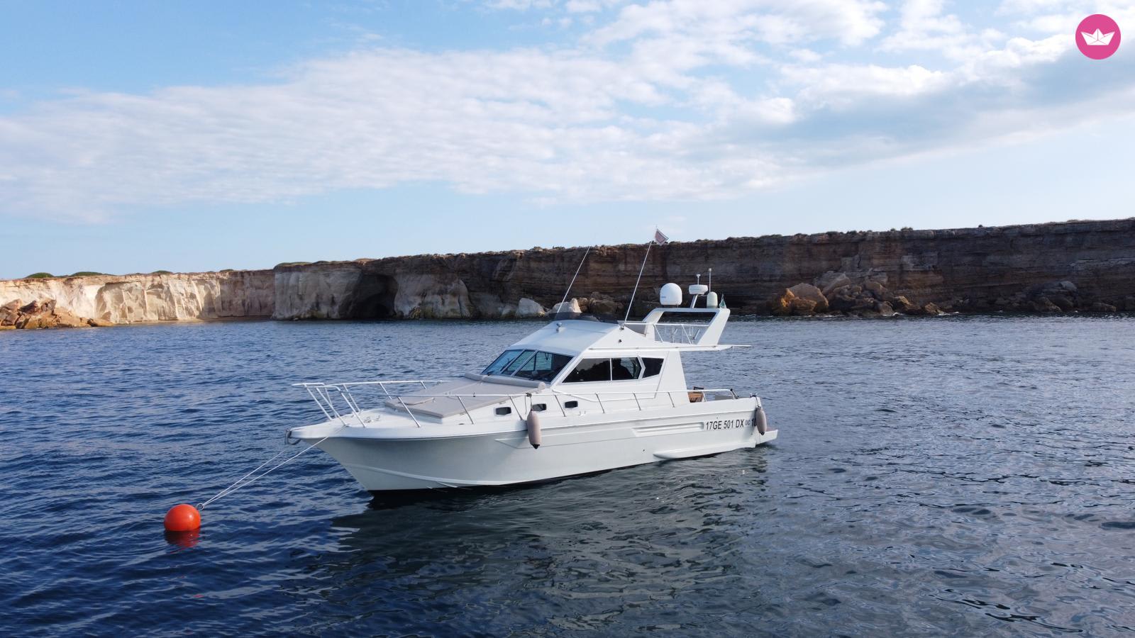 Cover of activity #14567