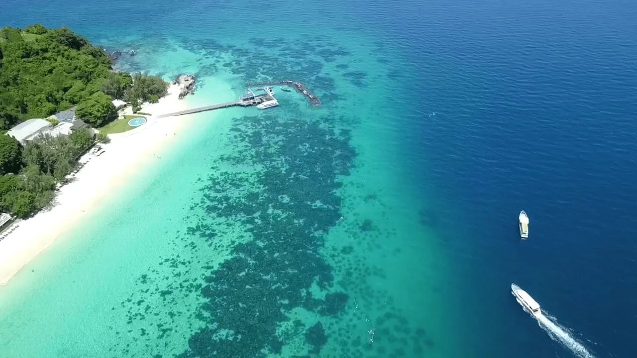 Cover of activity #15576