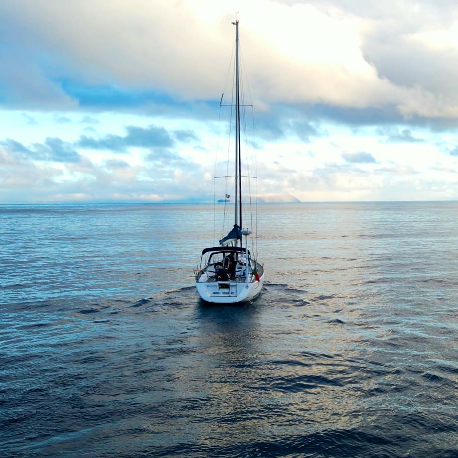 Tour in mare alla scoperta della costa e della fauna selvatica a Madeira