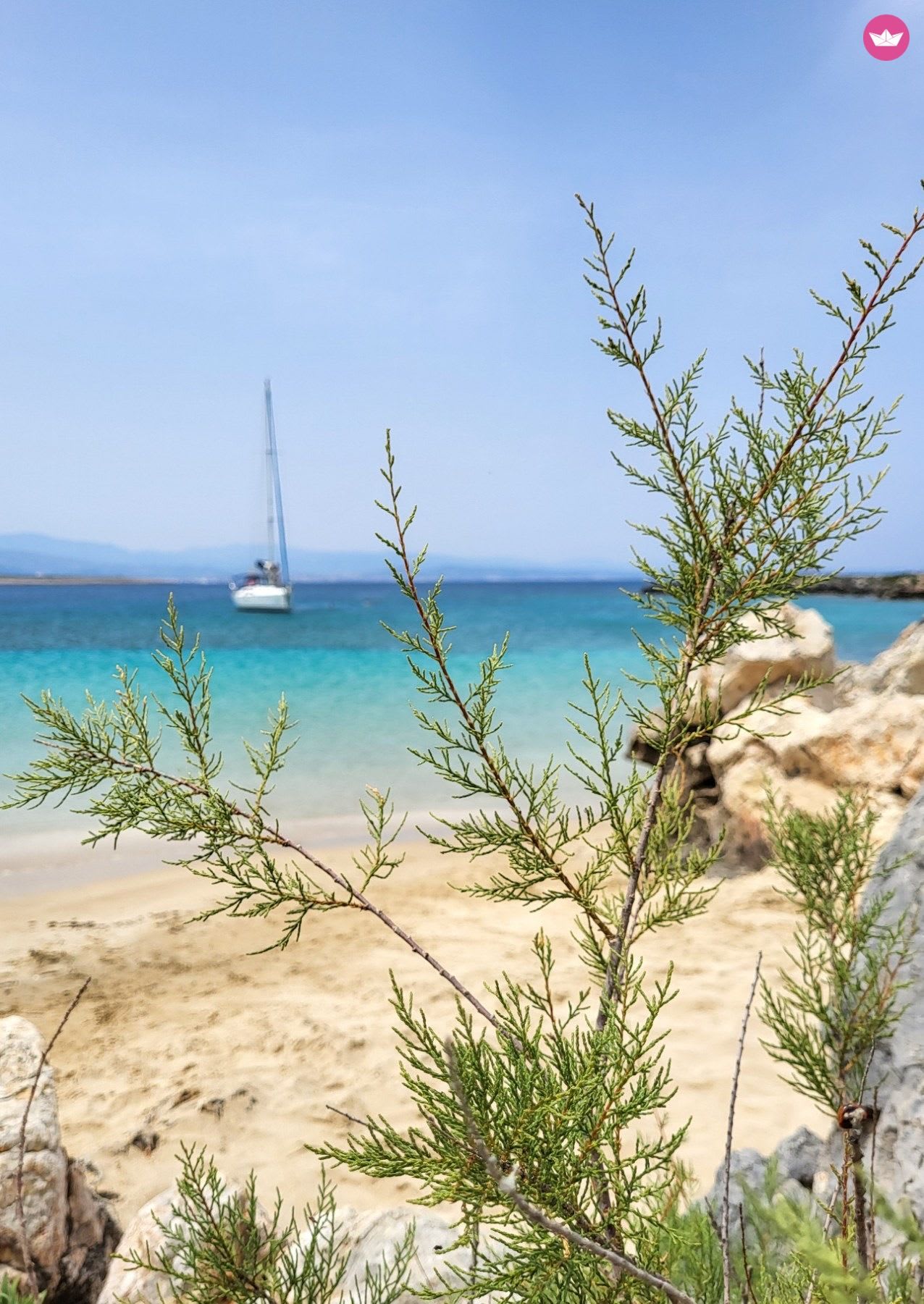 Cover of activity #12908