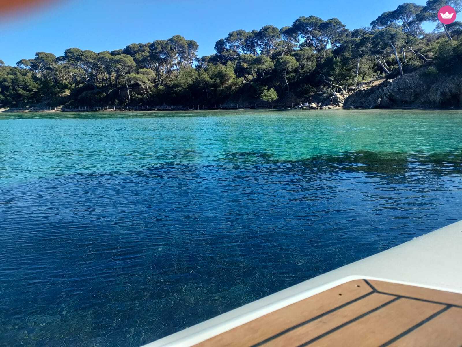 Cover of activity #10861