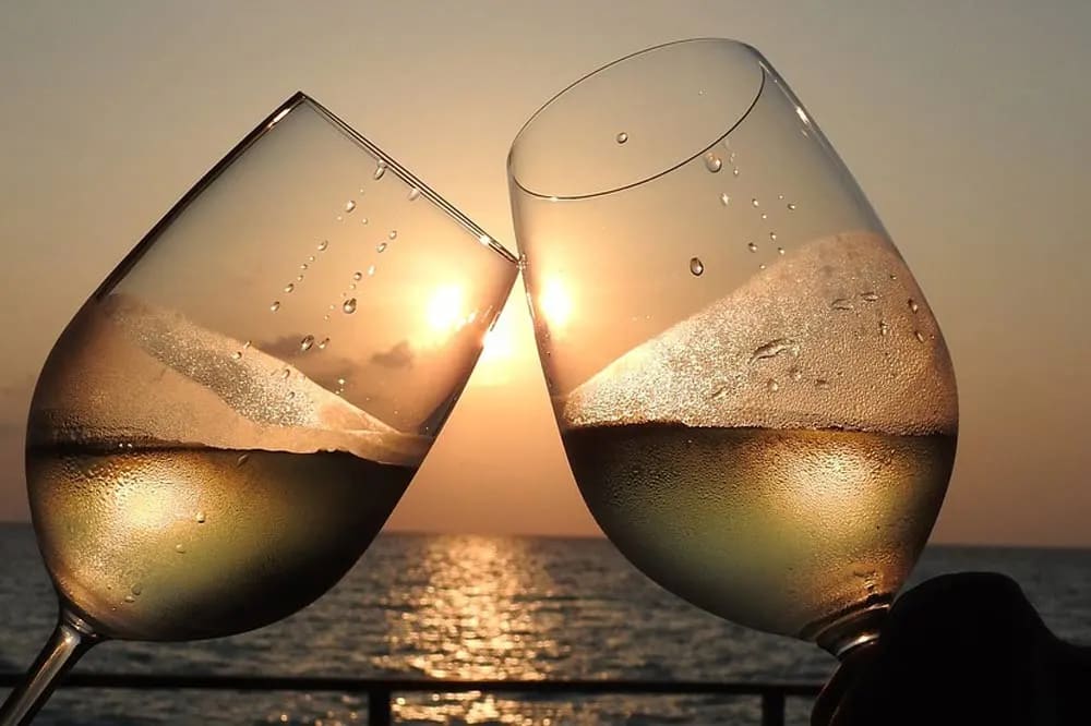 Cover of activity #5310