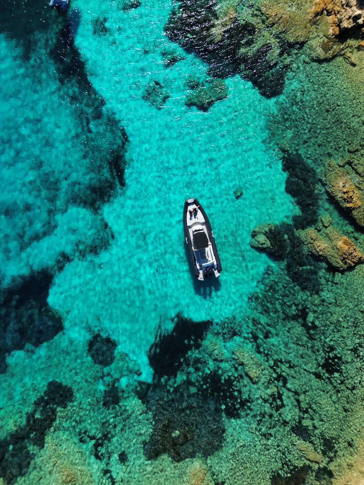 Cover of activity #3319