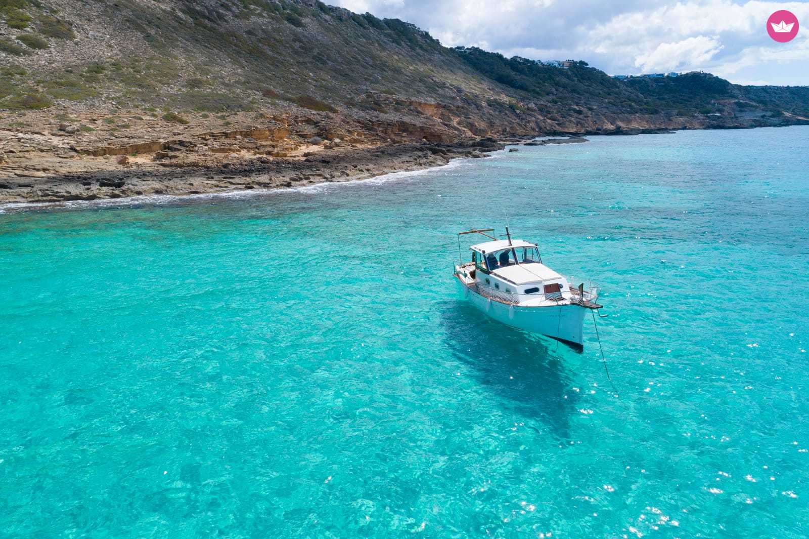 Cover of activity #3381