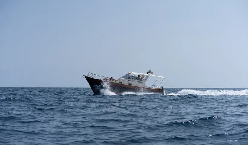 Cover of activity #5879