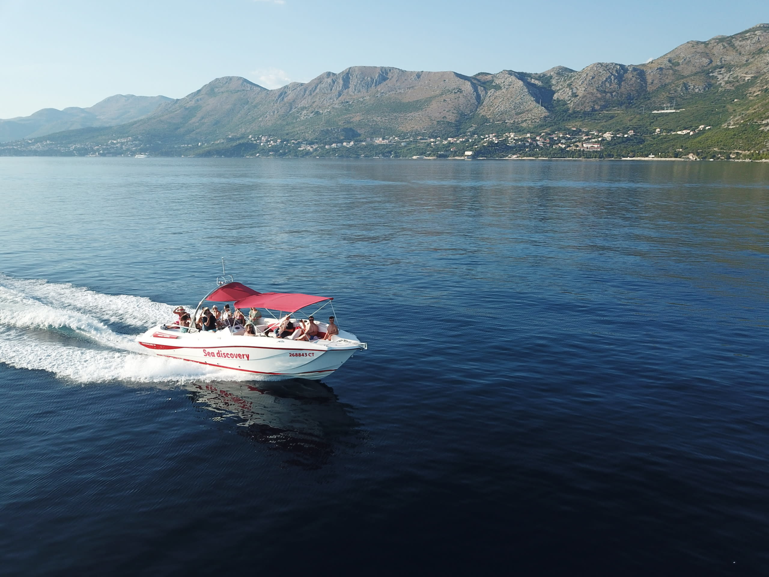 Cover of activity #2733