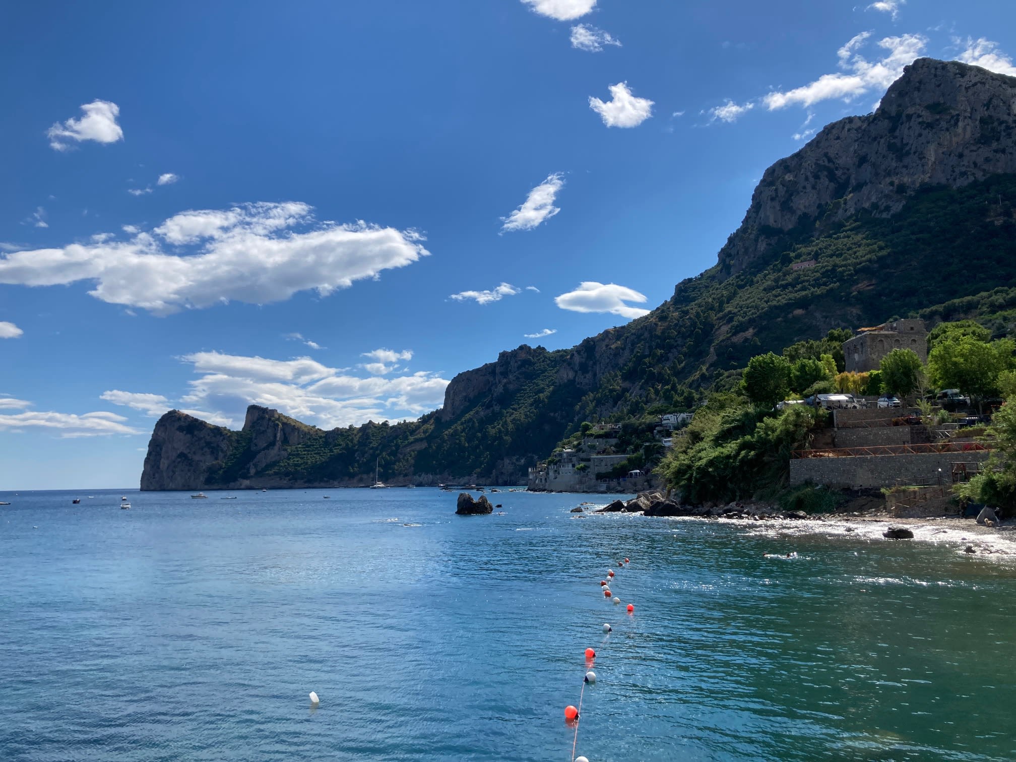 Cover of activity #2417