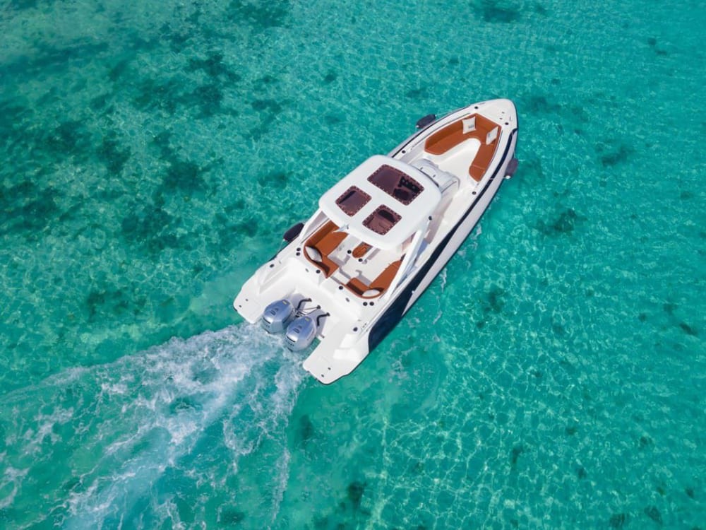 **Private Delfinbeobachtungstour & Abenteuer in der Orange Bay - 610 Euro**