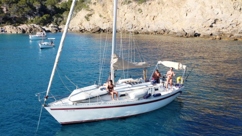 Escapada costera de medio día: desde la bahía de Andratx hasta las calas escondidas de Mallorca