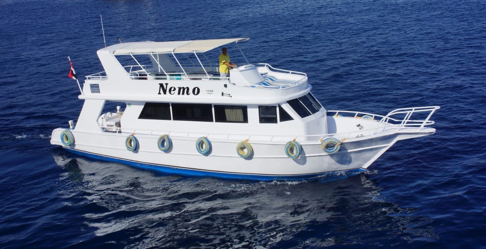 **Private Nachmittagskreuzfahrt für bis zu 10 Personen - 600 €**