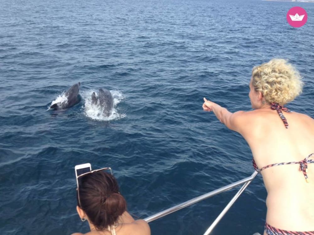 Küstenabenteuer und Benagil-Höhlen – 4-stündige private Kreuzfahrt