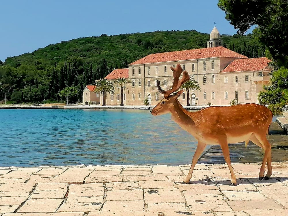 Stadt Korčula, Schiffswrack auf der Halbinsel Pelješac und Hirschinsel Badija